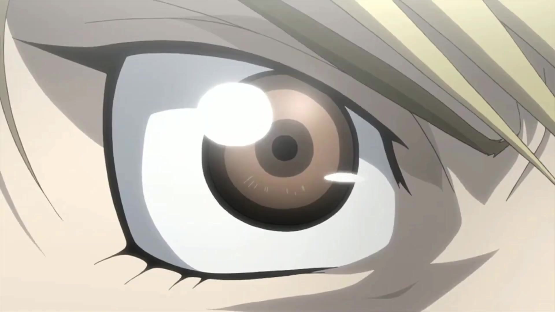 15-8x-RIFE-RIFE4.0-239.7602fps.mp4